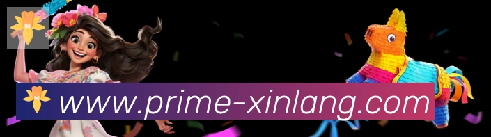 战术分析频道